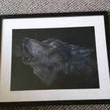 Howling Wolf - pastel on velour
