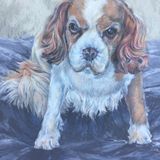 Lulu - Coloured pencil and pastel - (12"x14")