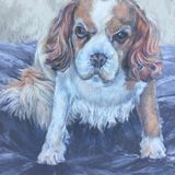 Lulu - Coloured pencil and pastel - (12"x14")