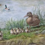 Pam Wood Mother Duck with Brood